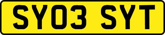 SY03SYT