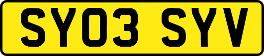 SY03SYV