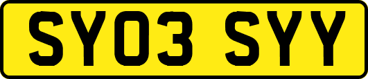 SY03SYY