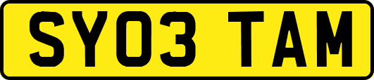 SY03TAM