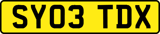 SY03TDX