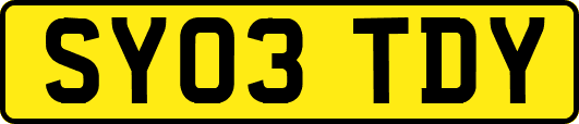 SY03TDY