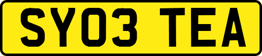 SY03TEA
