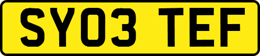 SY03TEF