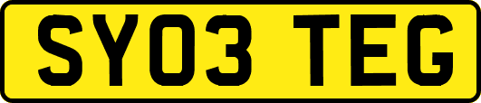 SY03TEG
