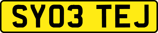 SY03TEJ