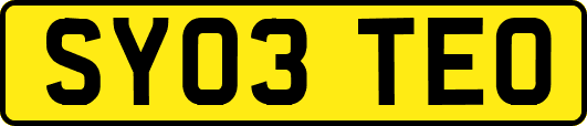 SY03TEO