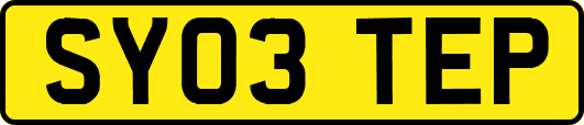SY03TEP