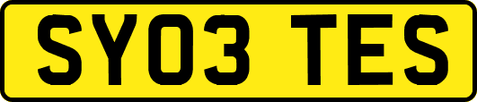 SY03TES
