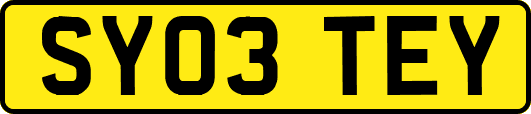 SY03TEY