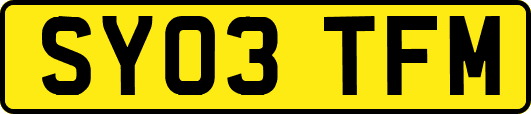 SY03TFM
