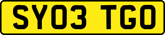 SY03TGO