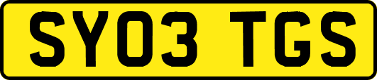 SY03TGS