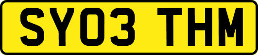 SY03THM