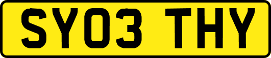 SY03THY