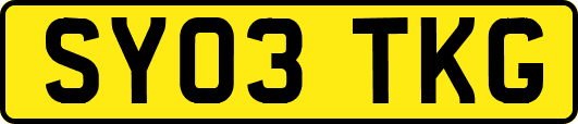 SY03TKG