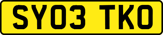 SY03TKO