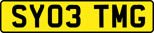 SY03TMG