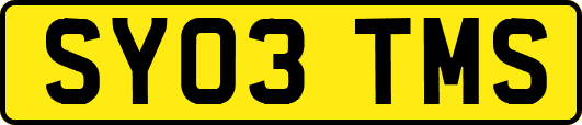 SY03TMS