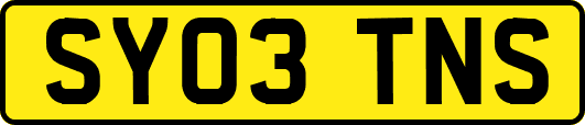SY03TNS
