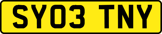 SY03TNY