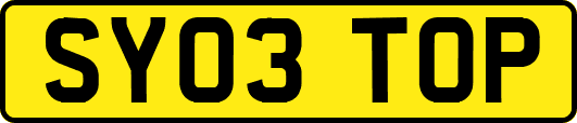 SY03TOP