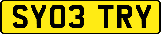 SY03TRY