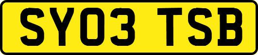 SY03TSB