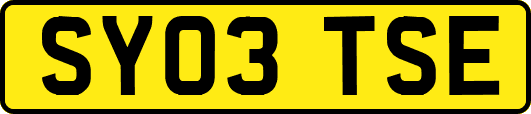 SY03TSE