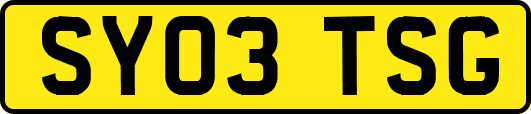 SY03TSG