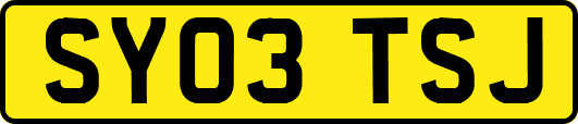 SY03TSJ