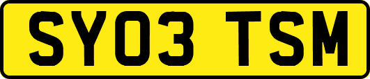 SY03TSM