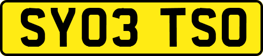 SY03TSO