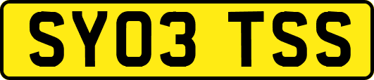 SY03TSS