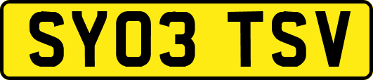 SY03TSV