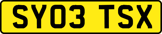 SY03TSX