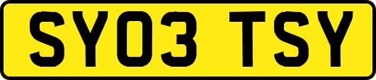 SY03TSY