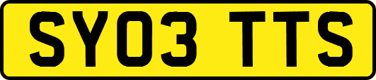 SY03TTS