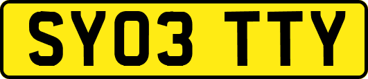 SY03TTY