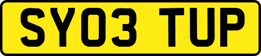 SY03TUP