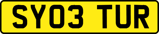 SY03TUR
