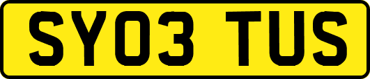 SY03TUS