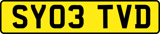 SY03TVD