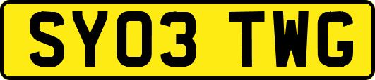 SY03TWG