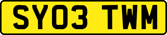 SY03TWM
