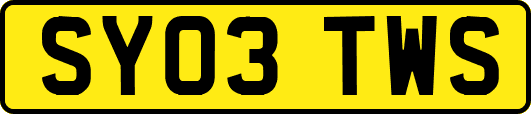 SY03TWS