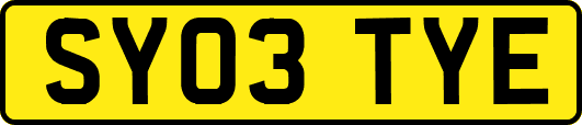 SY03TYE