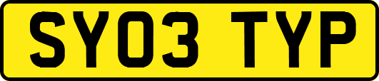 SY03TYP