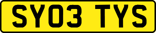 SY03TYS