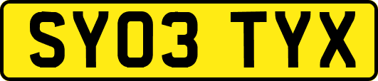 SY03TYX